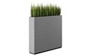 soundcollector 12.jpg